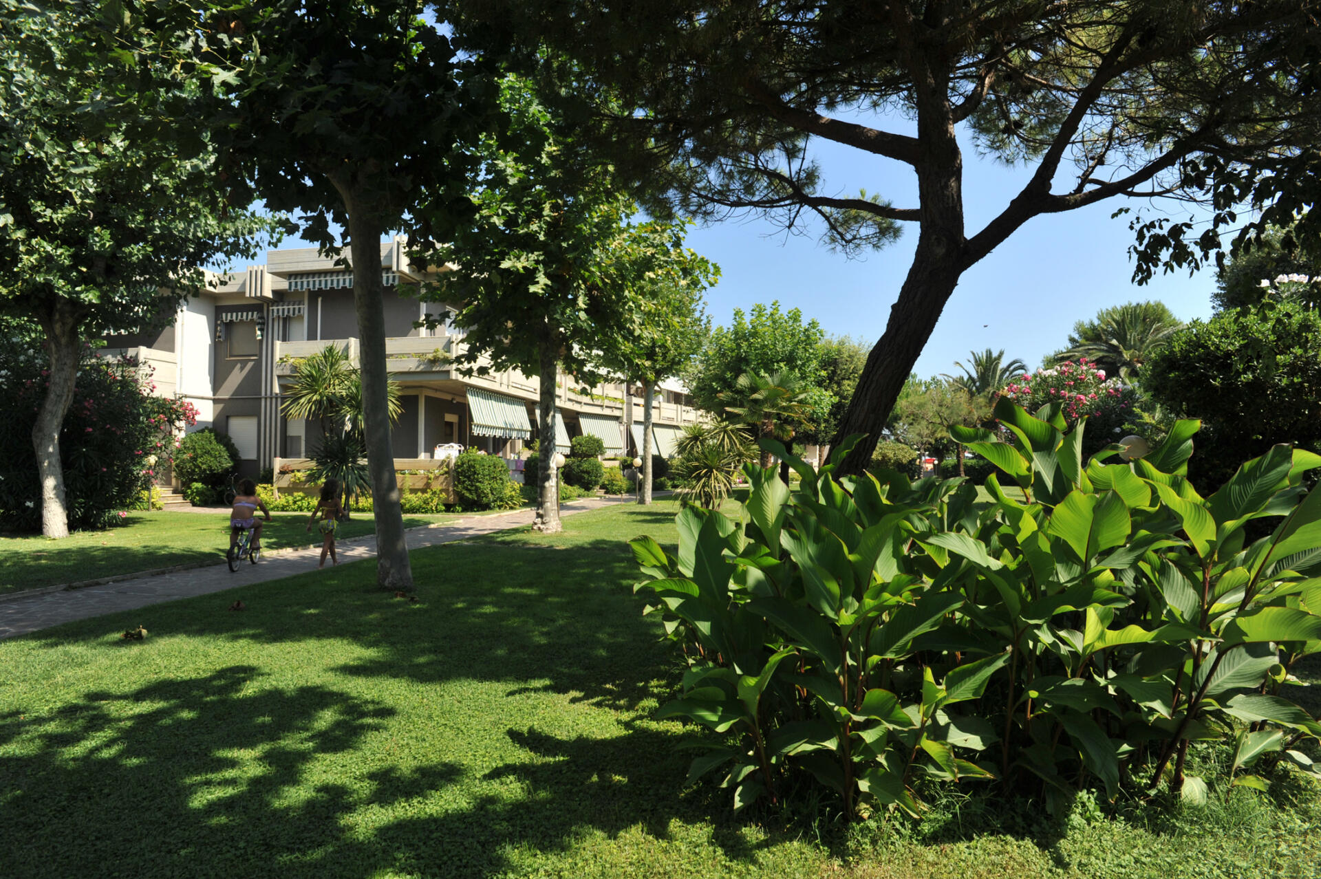 Alloggio Trilo